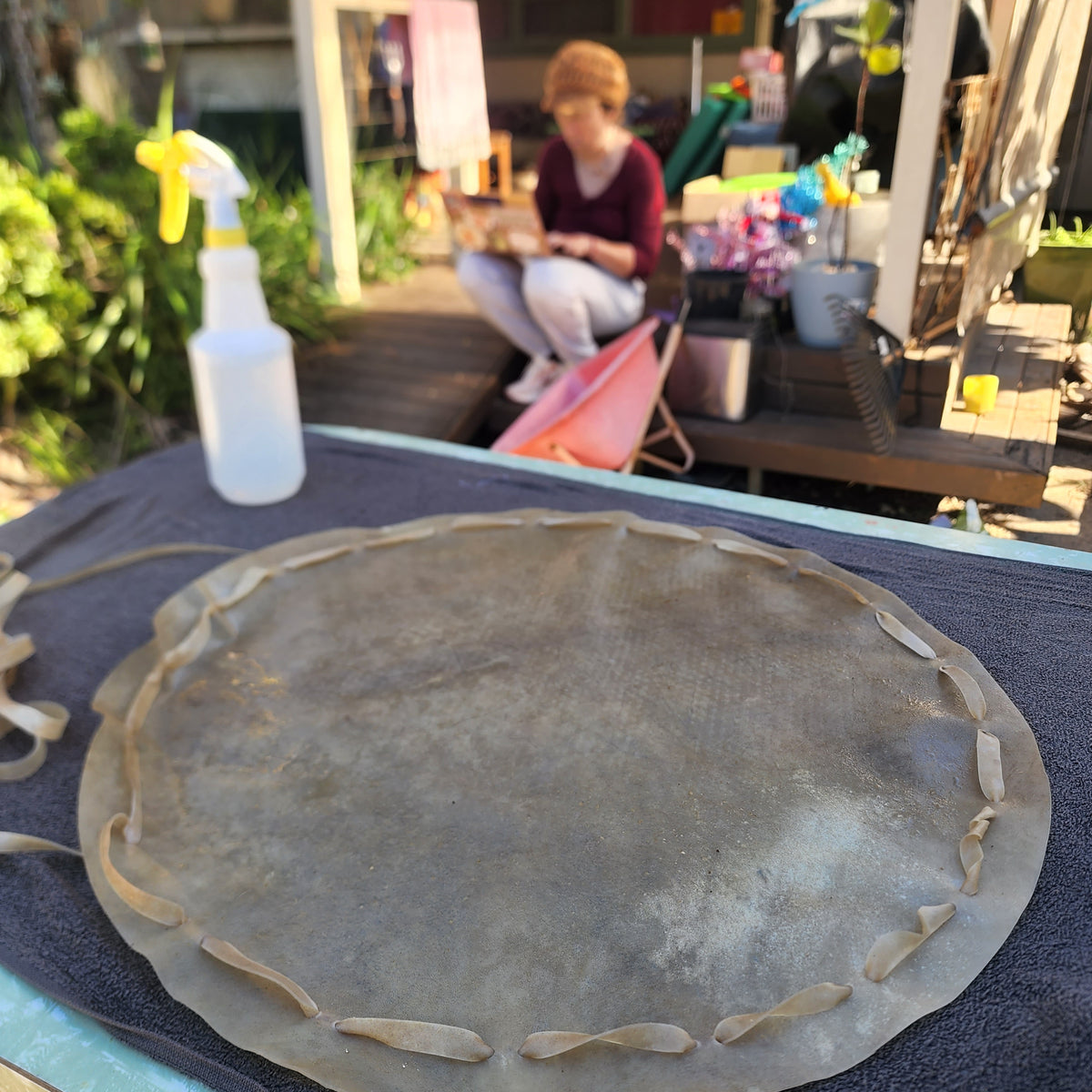 A soaked drum skin laid out with its lacing