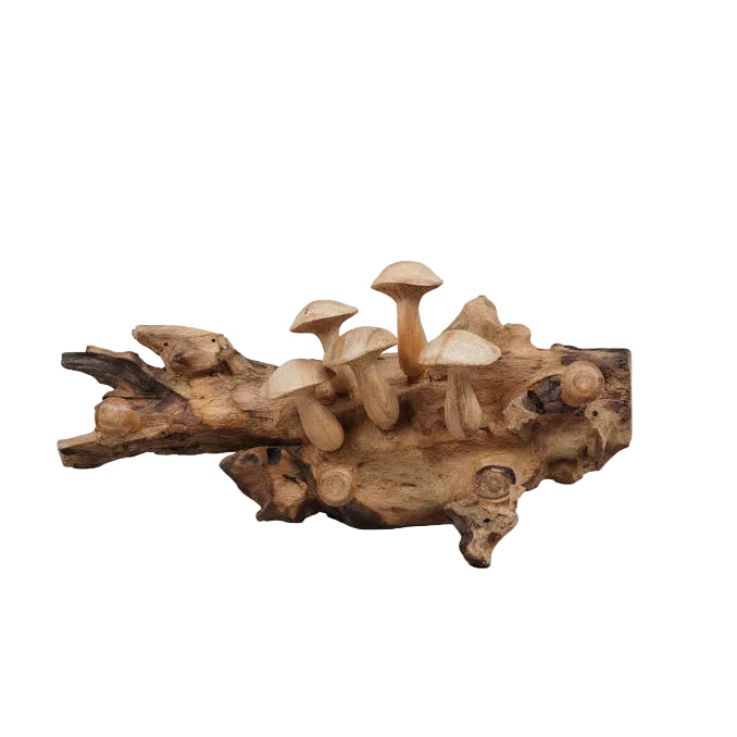 Wooden Teak Mushroom Coat Hangers
