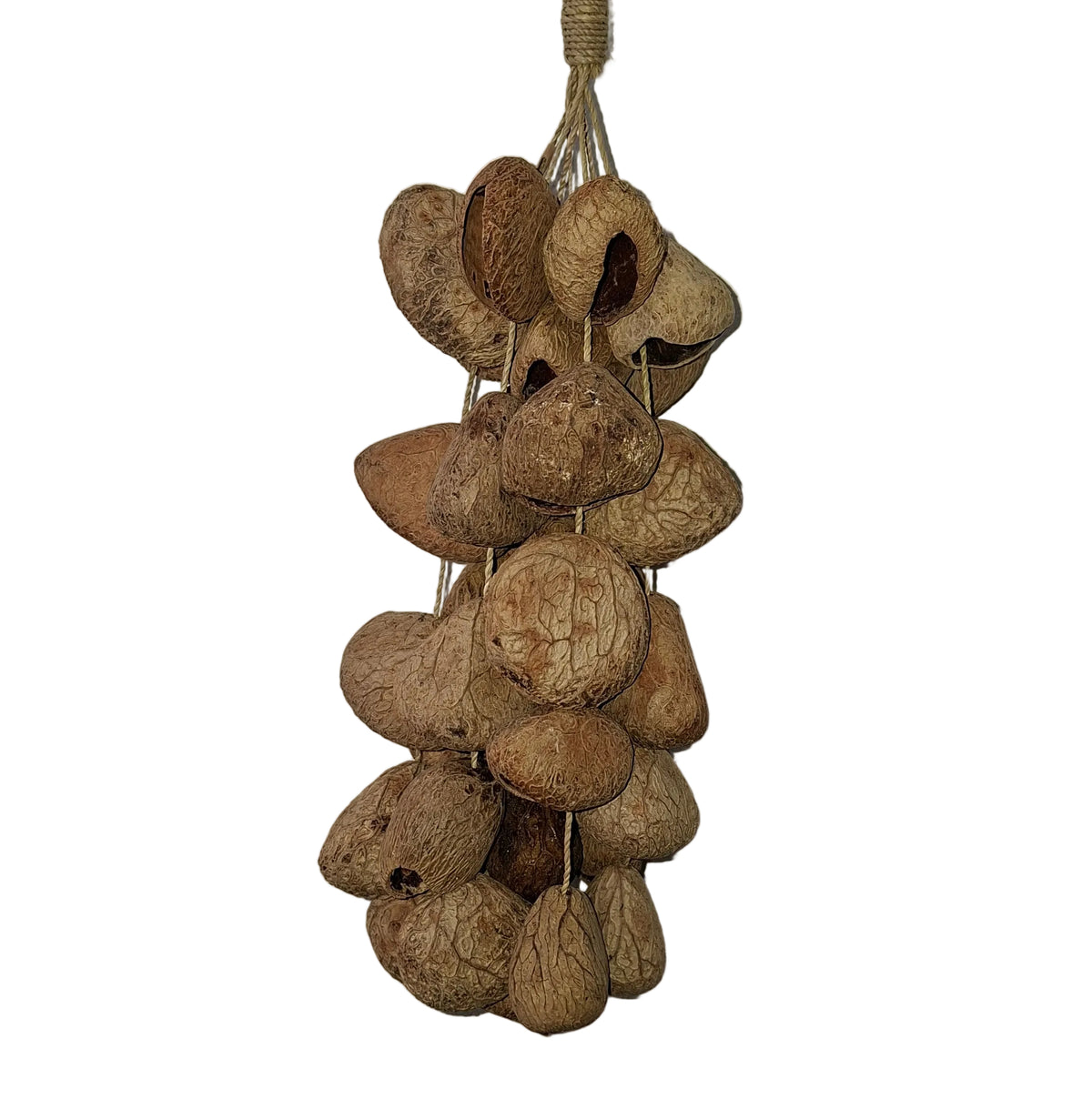 Chacos Seed Rattle Large Pods