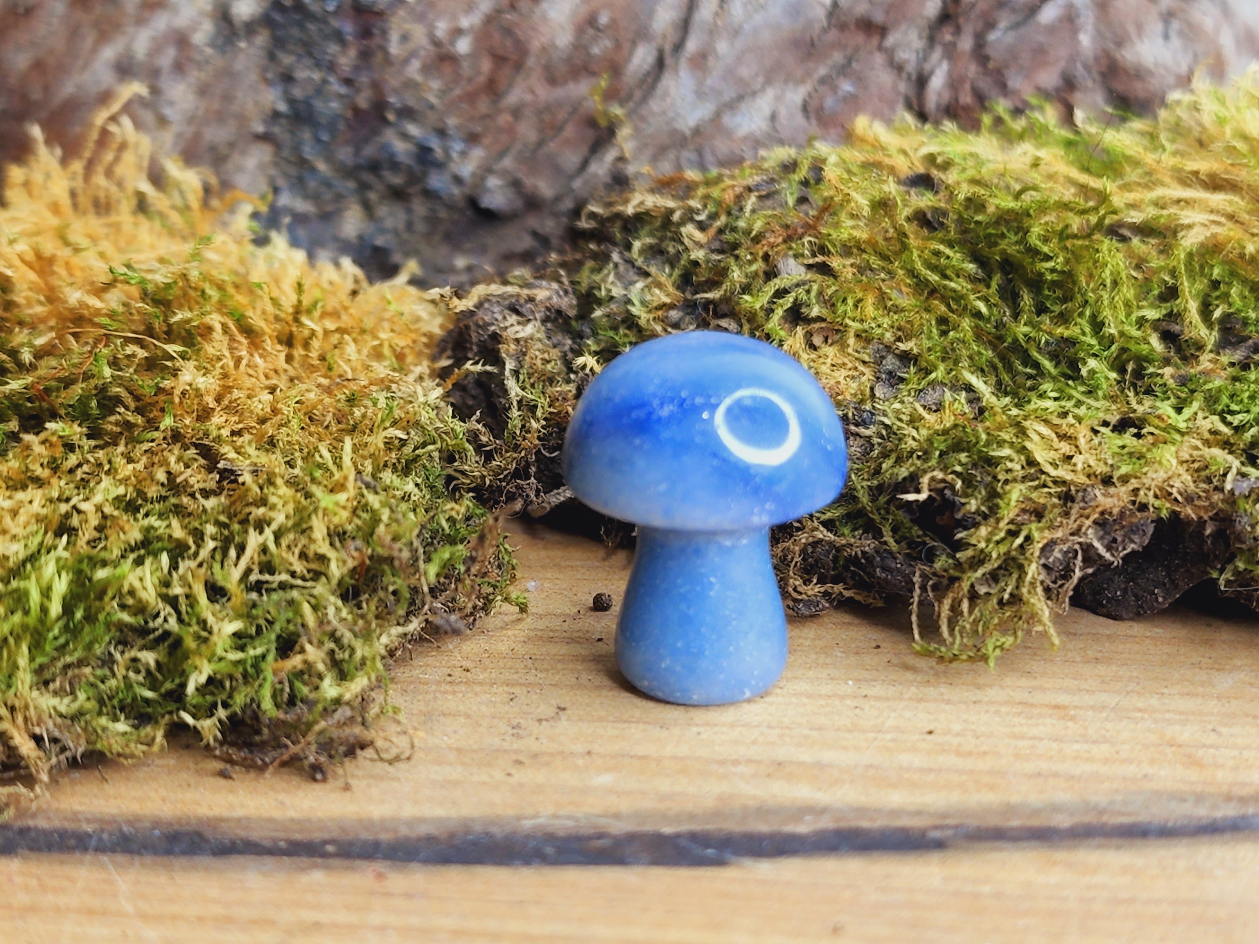 Mini Mushrooms (Various Colours)