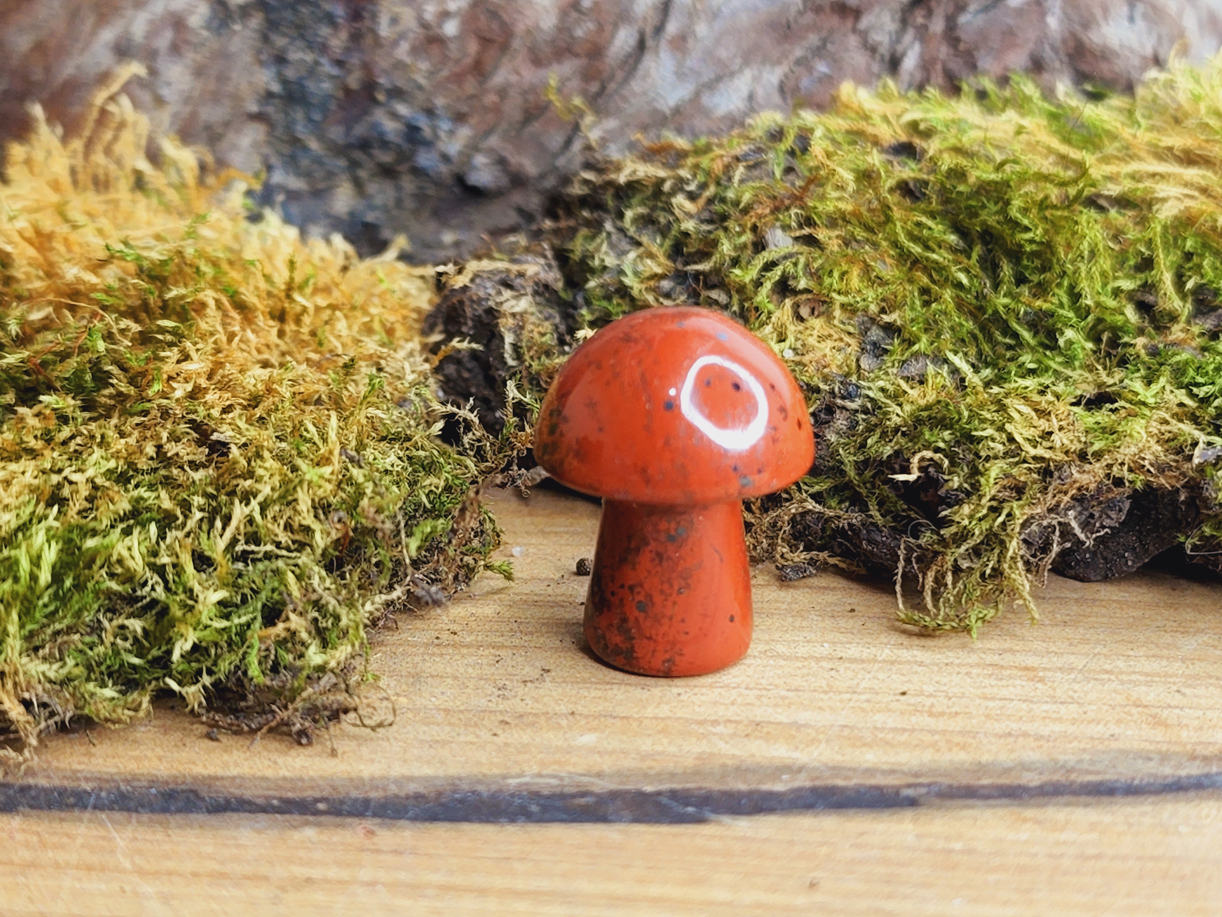 Mini Mushrooms (Various Colours)