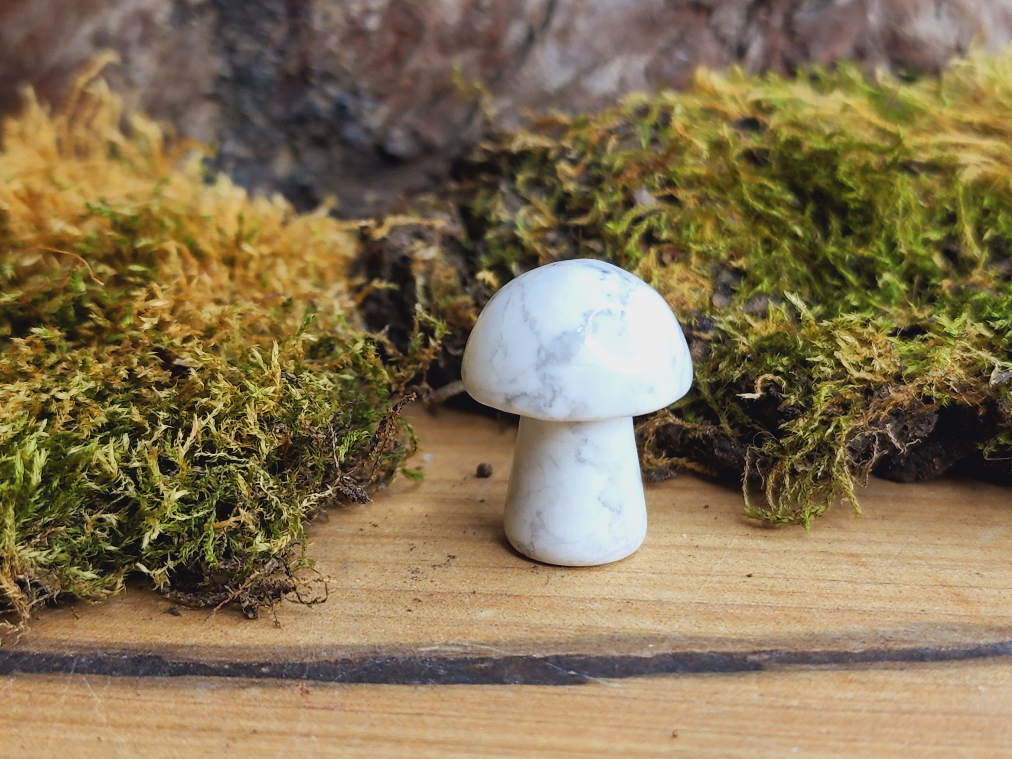 Mini Mushrooms (Various Colours)