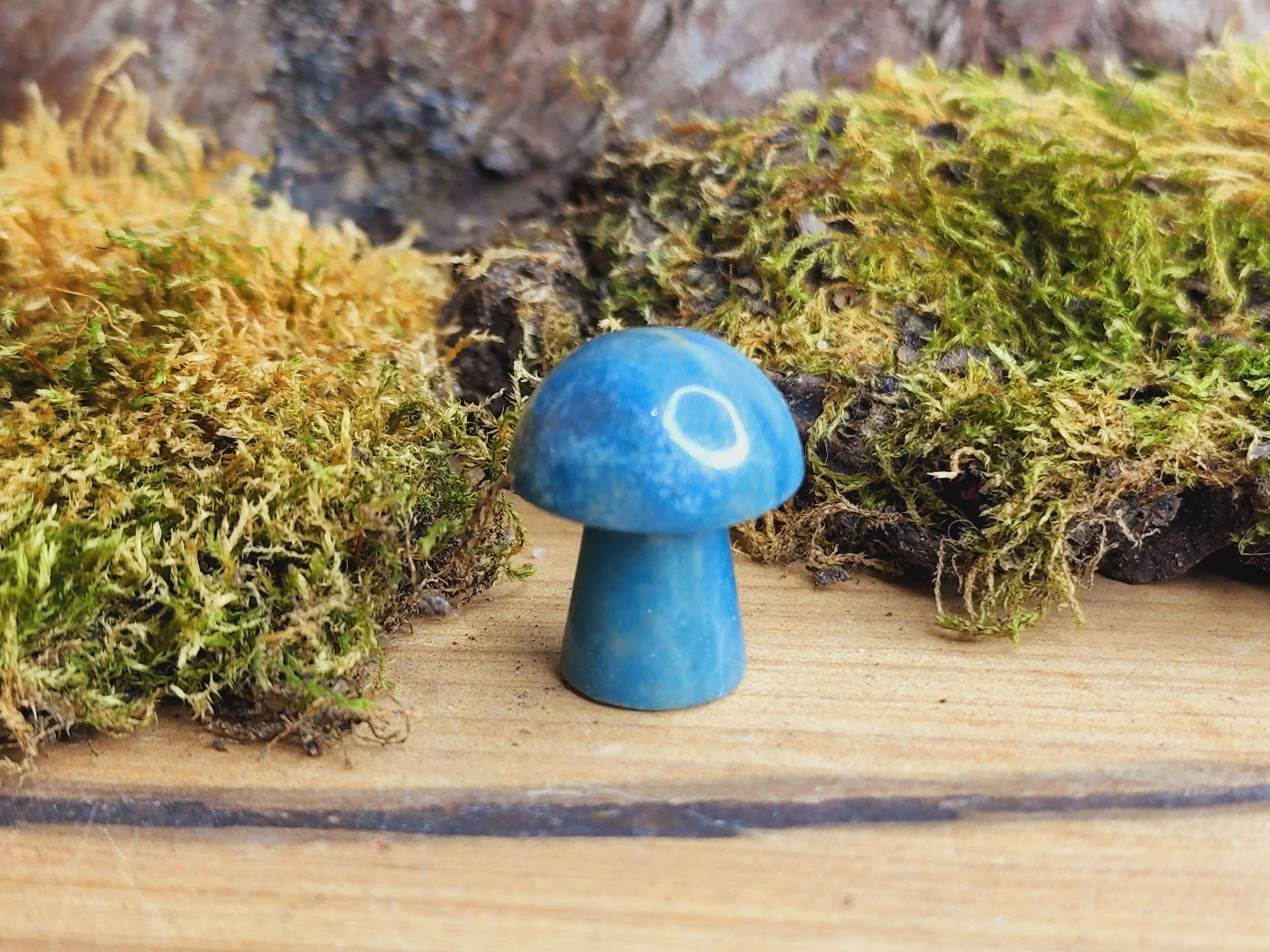 Mini Mushrooms (Various Colours)