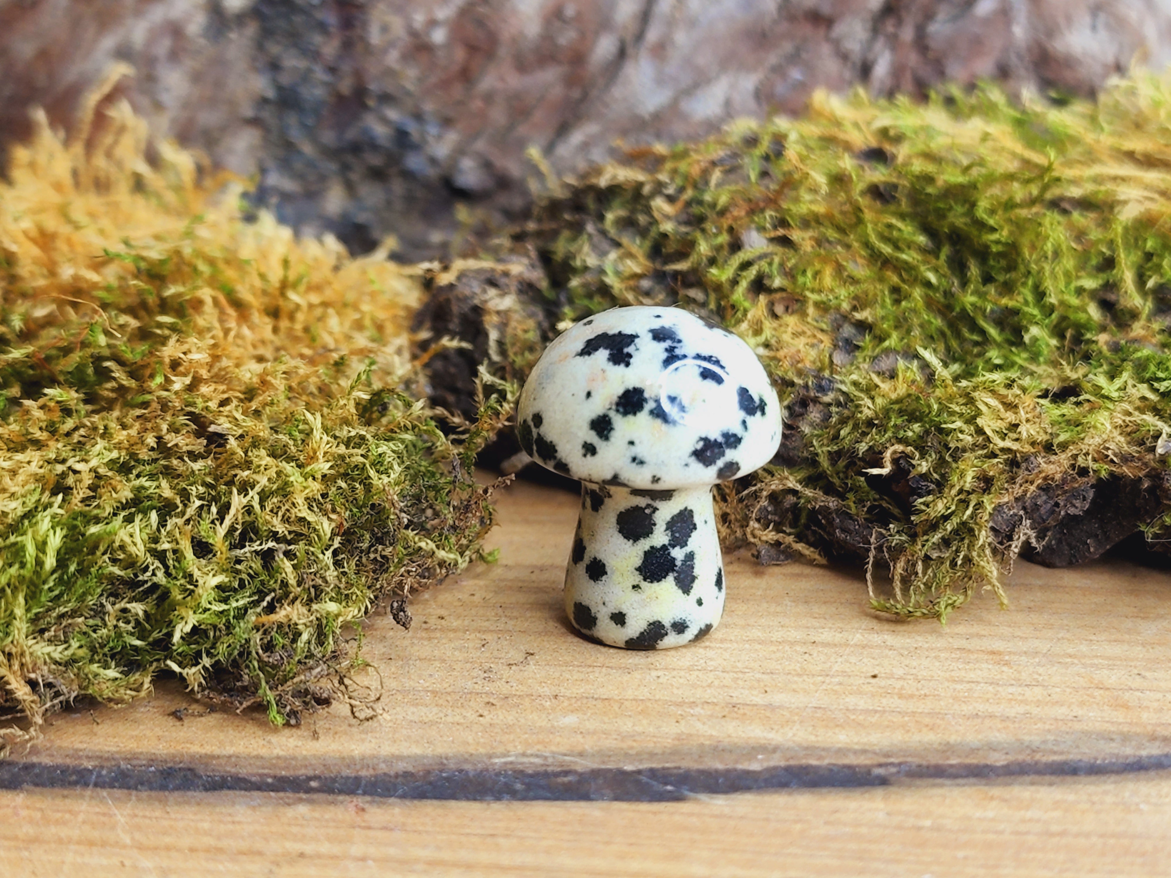 Mini Mushrooms (Various Colours)