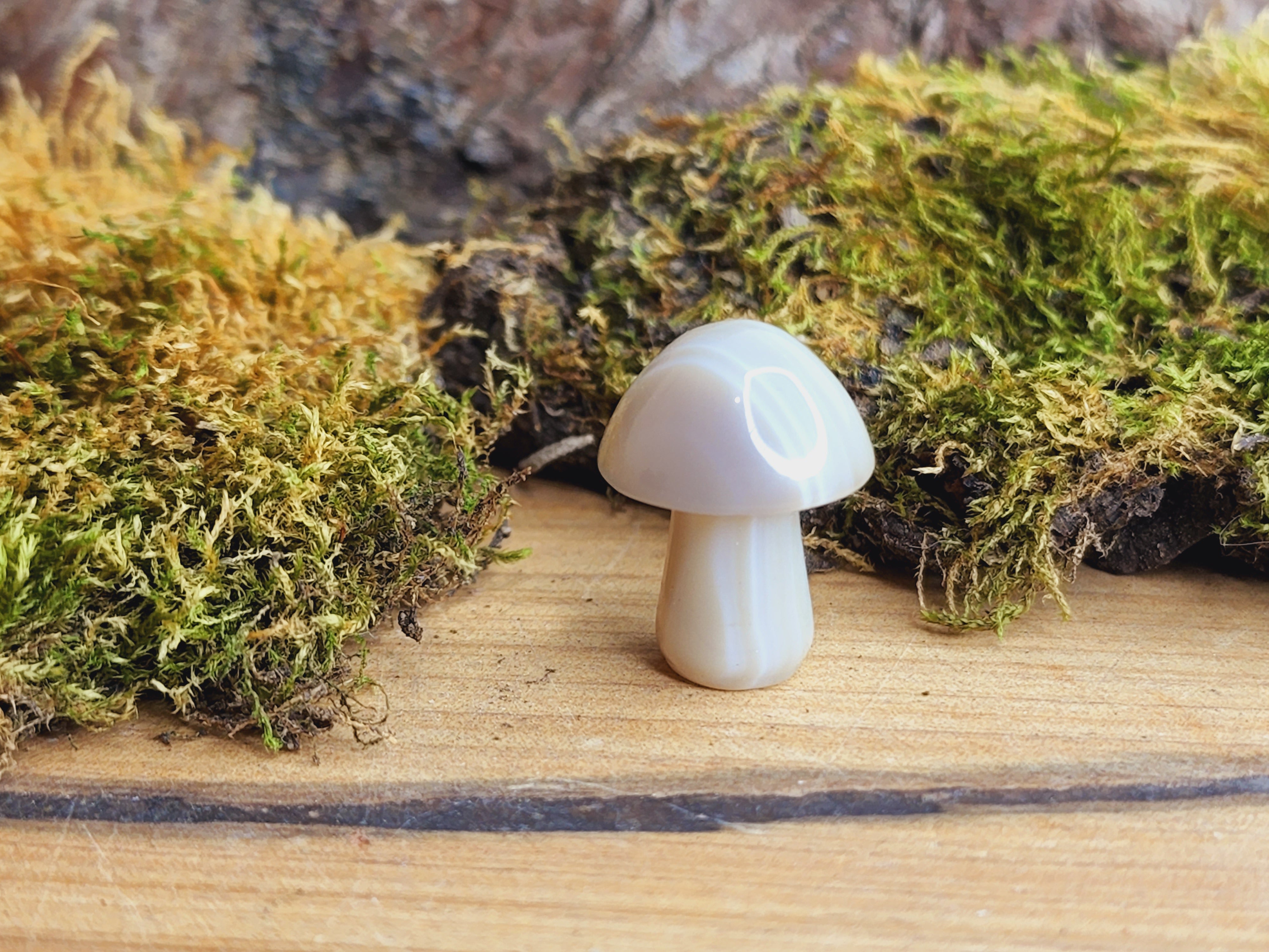 Mini Mushrooms (Various Colours)