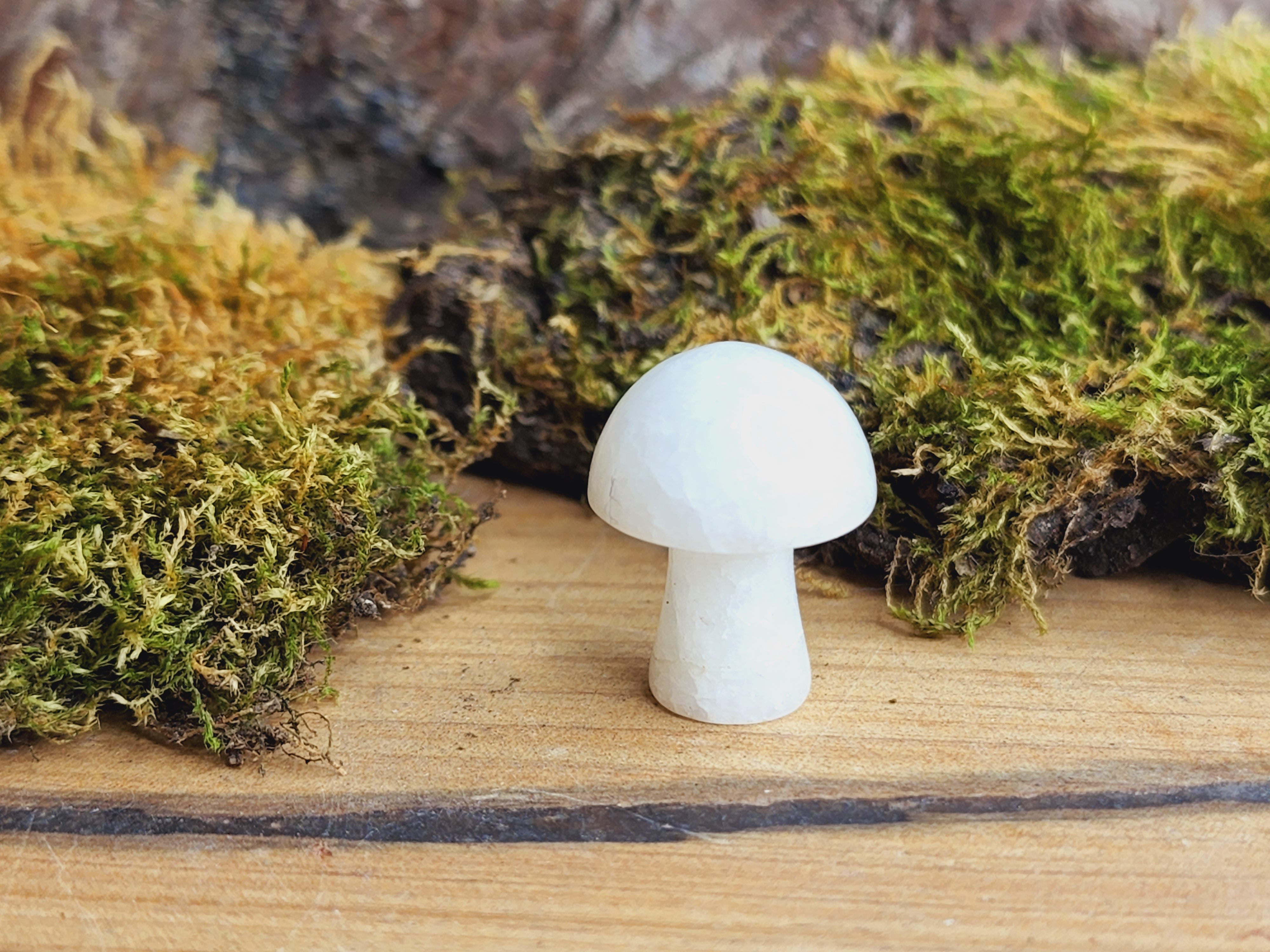 Mini Mushrooms (Various Colours)