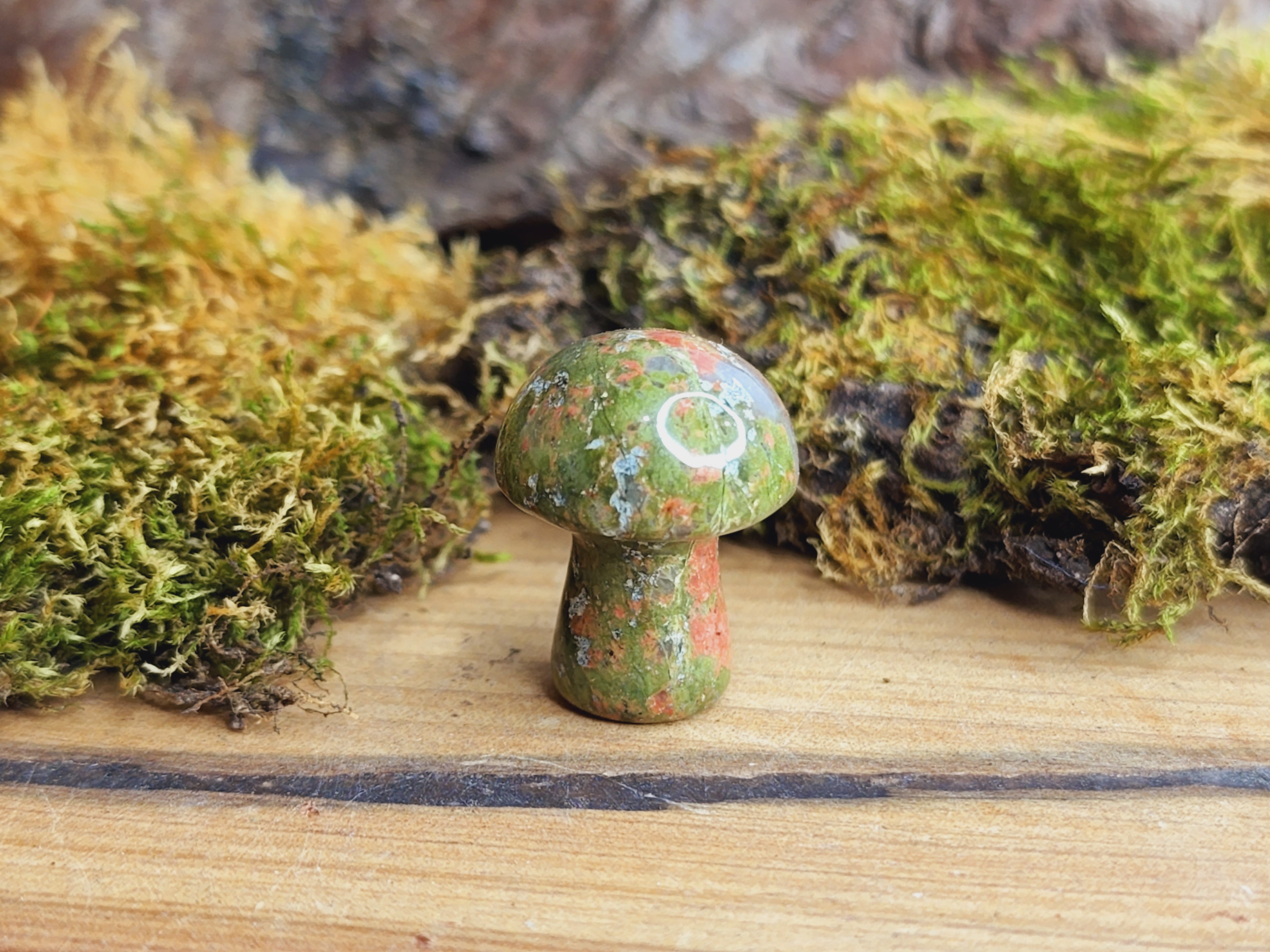 Mini Mushrooms (Various Colours)