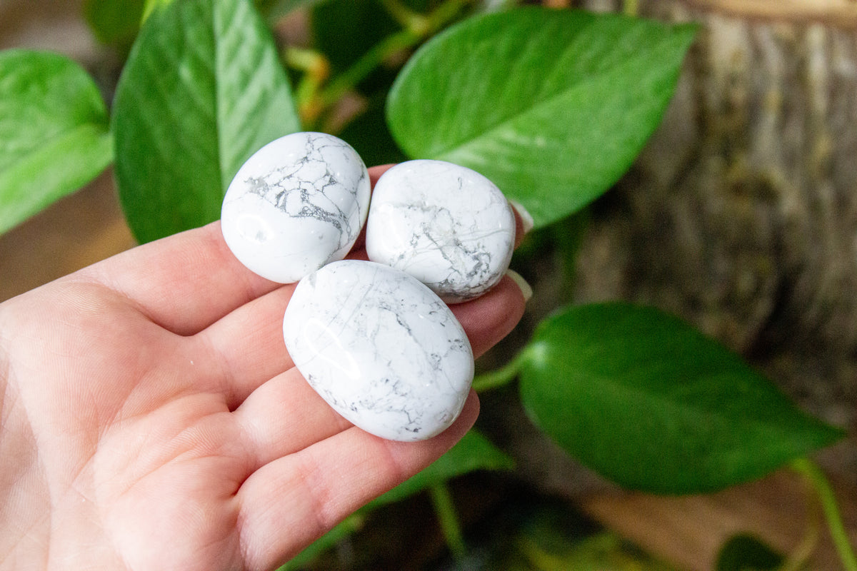Howlite Howlite – Crystal Arcana